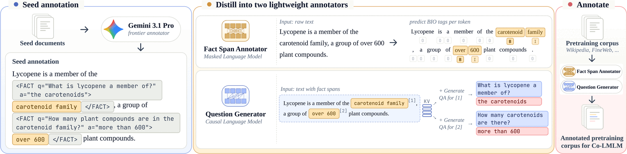 The three-stage annotation pipeline. Left (seed): a frontier model annotates a small seed set in the format FACT q equals question a equals answer, span, close FACT. Middle (distill): two lightweight annotators are trained from the seed: a fact-span annotator that BIO-tags spans, and a question generator that emits a question–answer pair per span with the document prefix KV-cached and reused. Right (annotate): both annotators run over the full corpus to produce the Co-LMLM pre-training corpus.