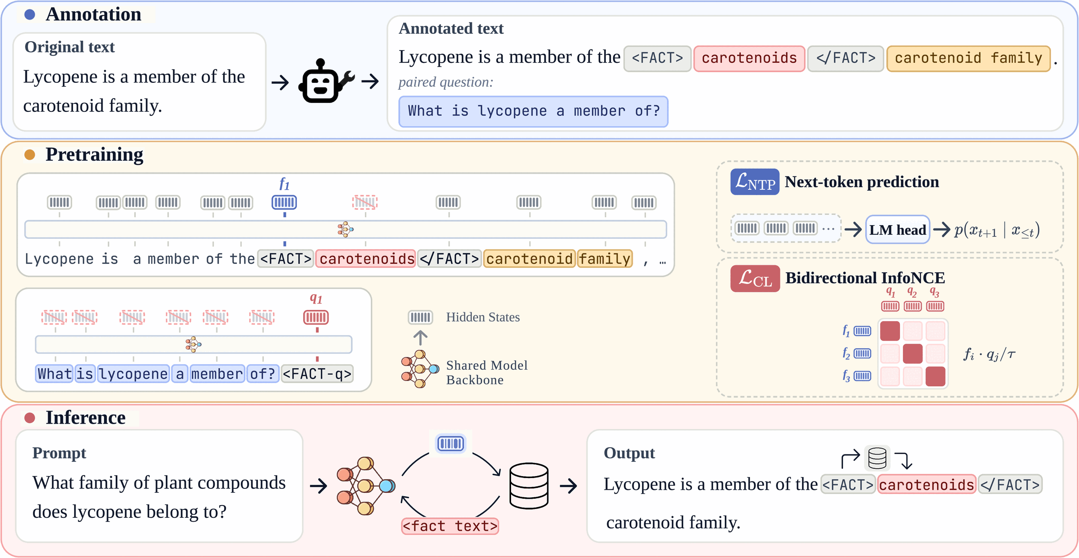 Overview of Co-LMLM in three bands. Top (annotation): the corpus is tagged with fact spans and paired questions, leaving the document text unchanged. Middle (pre-training): one decoder-only Transformer processes the annotated document and its questions, trained with next-token prediction over non-fact tokens plus a bidirectional InfoNCE loss that aligns the hidden state at the FACT token with the hidden state at the FACT-q question token. Bottom (inference): emitting a FACT token triggers dense retrieval using that hidden state, the retrieved span is inserted followed by a closing FACT tag, and decoding continues; no textual query is ever decoded.